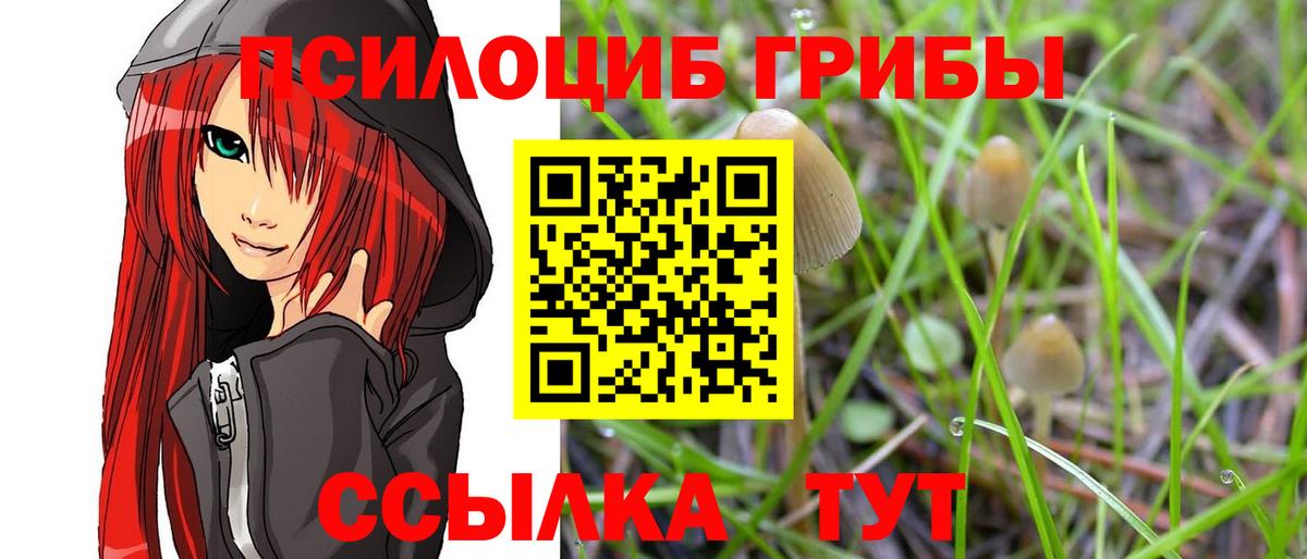 Псилоцибиновые грибы мухоморы  Псилоцибиновые грибы Psilocybine cubensis  Вход с VPN  Горно-Алтайск 
